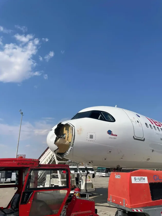 Avión de Iberia aterriza de emergencia en Madrid tras chocar con buitre