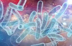 Tres muertos y 67 casos por brote de virus Legionario en Harlem