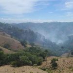 Medio Ambiente controla incendio forestal en Las Cejitas, Jánico, y refuerza labores de liquidación