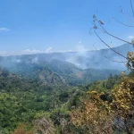Brigadas de Medio Ambiente combaten incendios forestales en zonas críticas de Jánico y Barahona