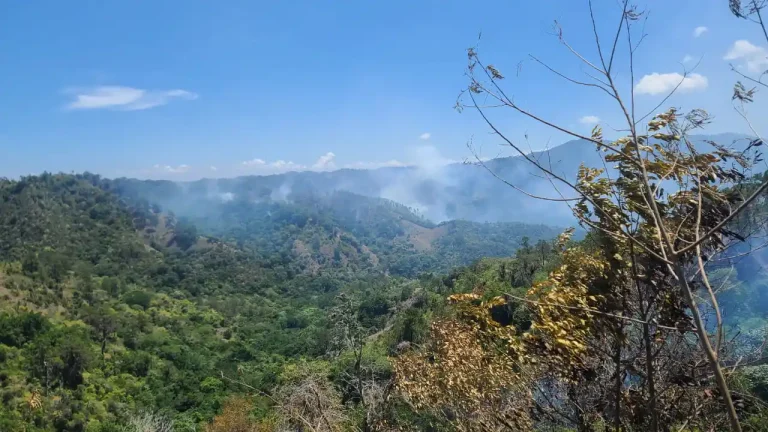 Brigadas de Medio Ambiente combaten incendios forestales en zonas críticas de Jánico y Barahona