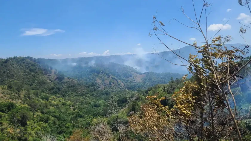 Brigadas de Medio Ambiente combaten incendios forestales en zonas críticas de Jánico y Barahona