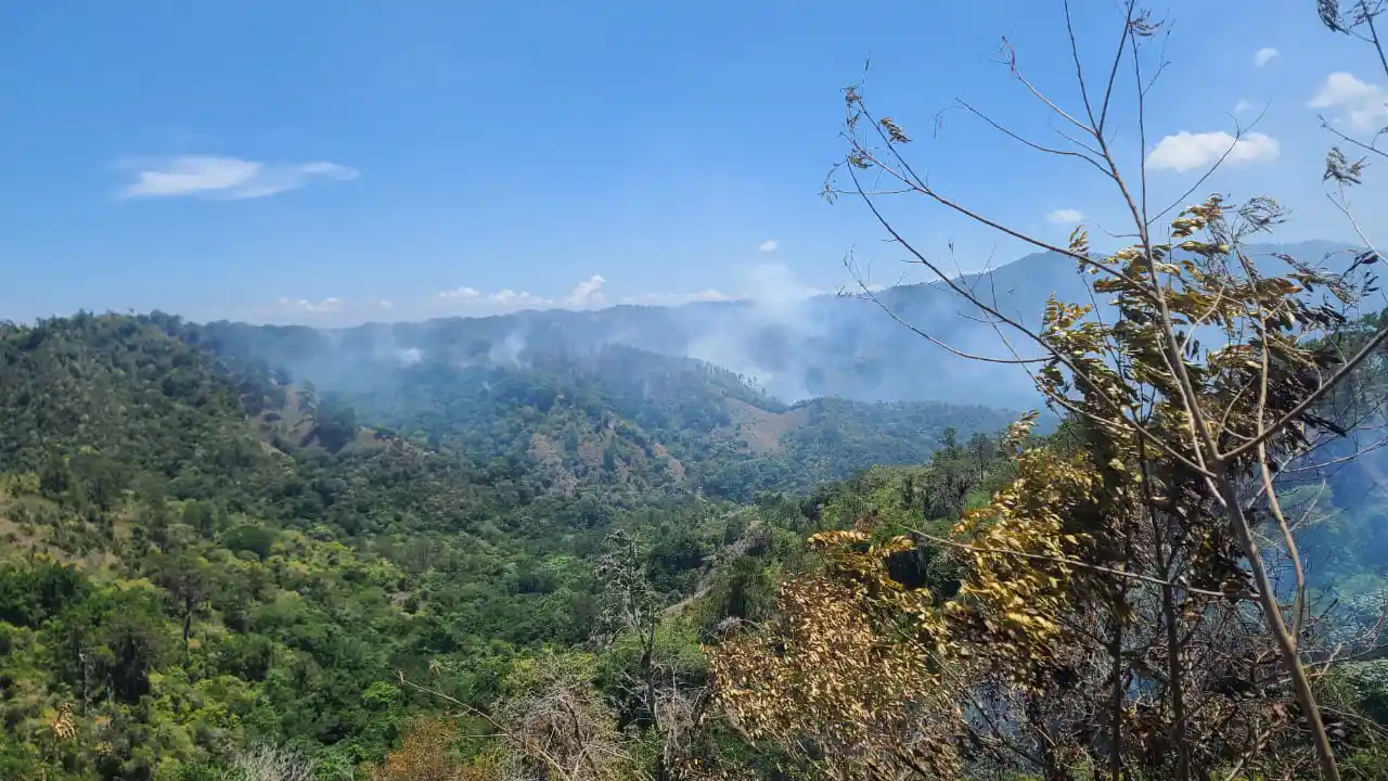 Brigadas de Medio Ambiente combaten incendios forestales en zonas críticas de Jánico y Barahona Brigadas de Medio Ambiente combaten incendios forestales en zonas críticas de Jánico y Barahona