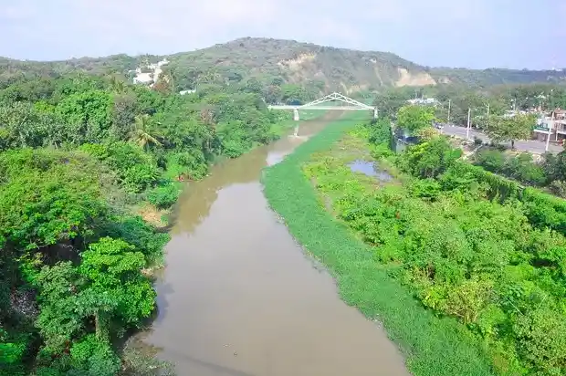 Bacterias resistentes a antibióticos contaminan principales ríos de República Dominicana Bacterias resistentes a antibióticos contaminan principales ríos de República Dominicana