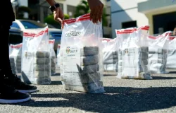 Paquetes de droga confiscados en la Operacion Leopardo en La Altagracia