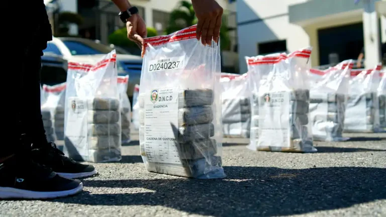 Operación Leopardo: golpe al narcotráfico en República Dominicana Paquetes de droga confiscados en la Operacion Leopardo en La Altagracia