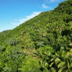 RD lanza plataforma nacional de financiamiento climático