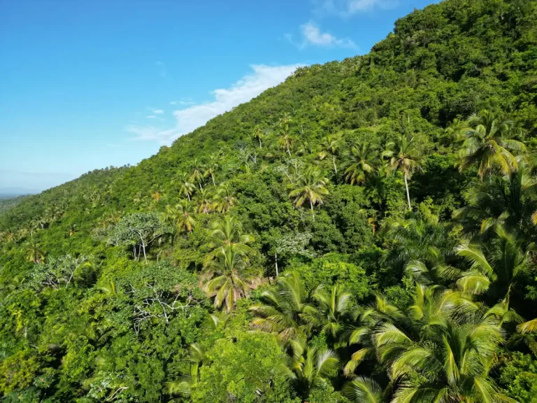 RD lanza plataforma nacional de financiamiento climático