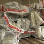 DNCD incauta 251 paquetes de cocaína en el Puerto de Haina Oriental