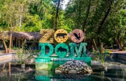 Zoológico Nacional niega importación de especies venenosas