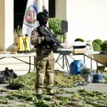 Desmantelan plantación de marihuana en Peravia
