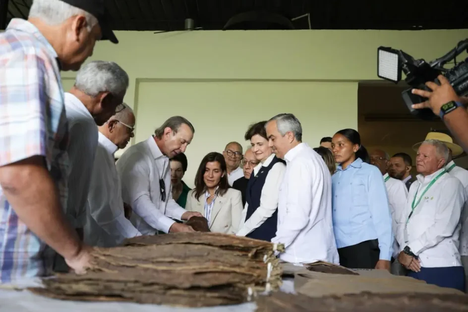 Tabaco dominicano genera US$1,359 millones y EE. UU. compra el 78% Tabaco dominicano genera US$1,359 millones y EE. UU. compra el 78%