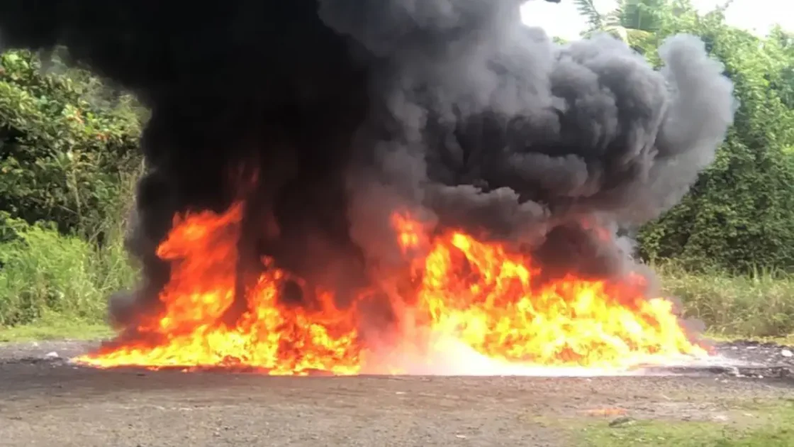 Inacif quema 2,522 kg de drogas; el 91% venía de Peravia Inacif quema 2,522 kg de drogas; el 91% venía de Peravia