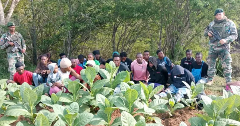 Soldados del Ejército de República Dominicana durante operativo de control migratorio con haitianos en zona boscosa de Dajabón