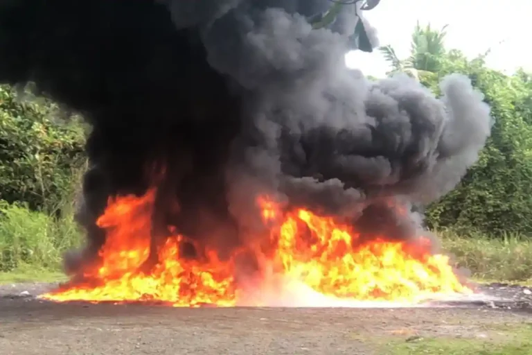 Inacif destruye dos toneladas de drogas en RD