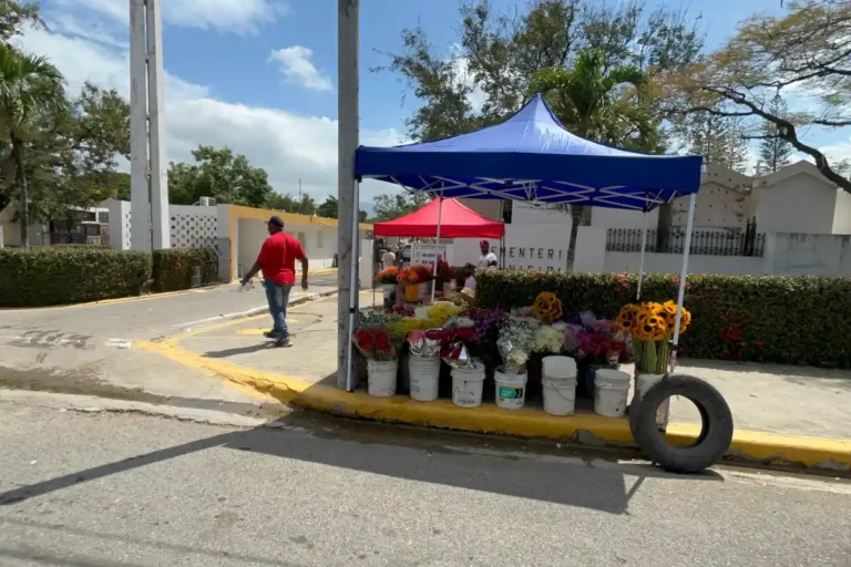 Reubican floristeros del cementerio El Ingenio de Santiago