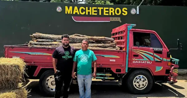 Ejército ocupa camión con postes de cambrón en Valverde