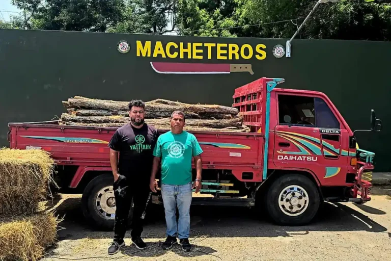 Ejército ocupa camión con postes de cambrón en Valverde Ejército ocupa camión con postes de cambrón en Valverde