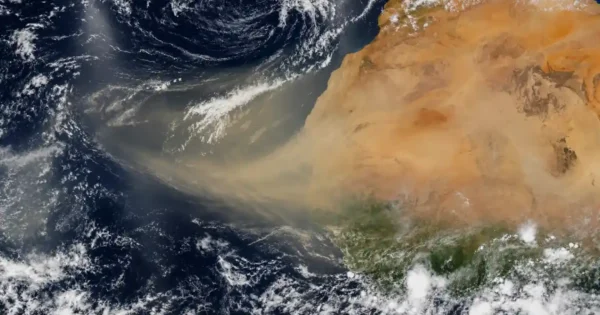 Cómo protegerse del polvo del Sahara, según neumólogos