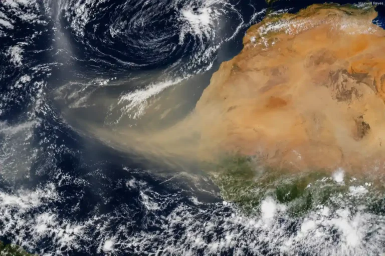 Cómo protegerse del polvo del Sahara, según neumólogos