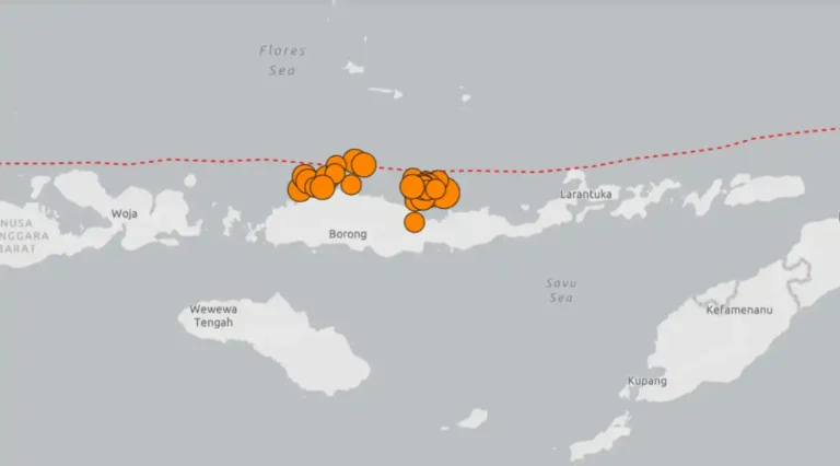 Terremoto en Indonesia deja 47 muertos y complica rescates Terremoto en Indonesia deja 47 muertos y complica rescates