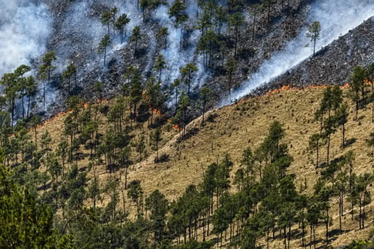 Controlan incendio forestal en Valle Nuevo tras 36 horas Controlan incendio forestal en Valle Nuevo tras 36 horas