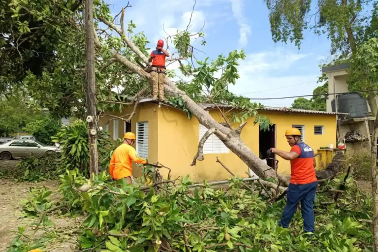 Ventarrón derriba árboles y anega calles en Santiago