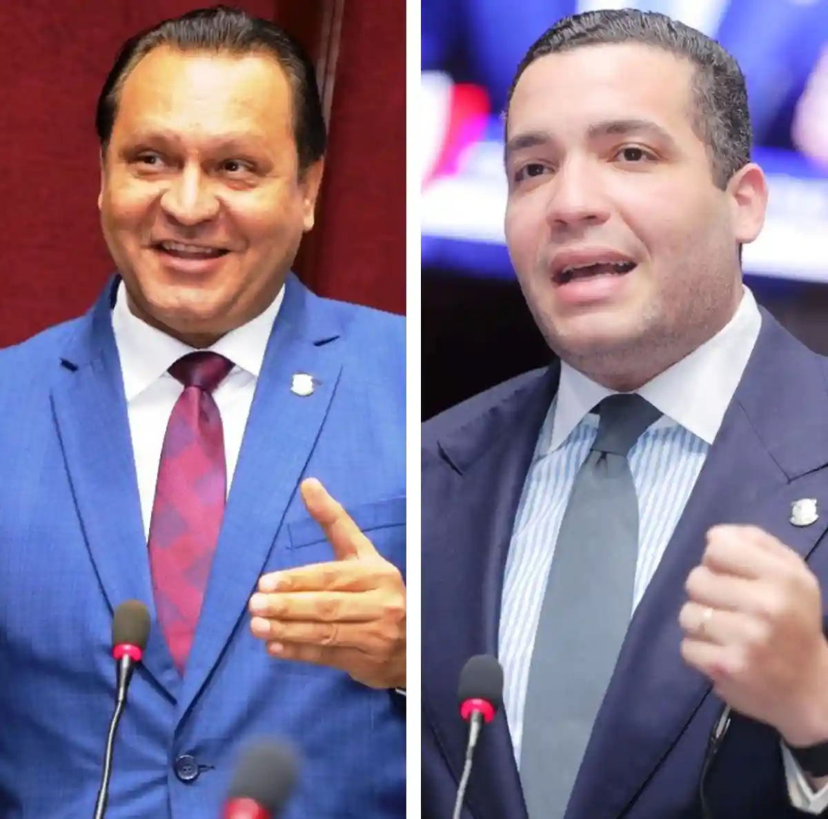 Diputados del PLD rechazan aumento del marbete 2026-2027 Diputados del PLD rechazan aumento del marbete 2026-2027