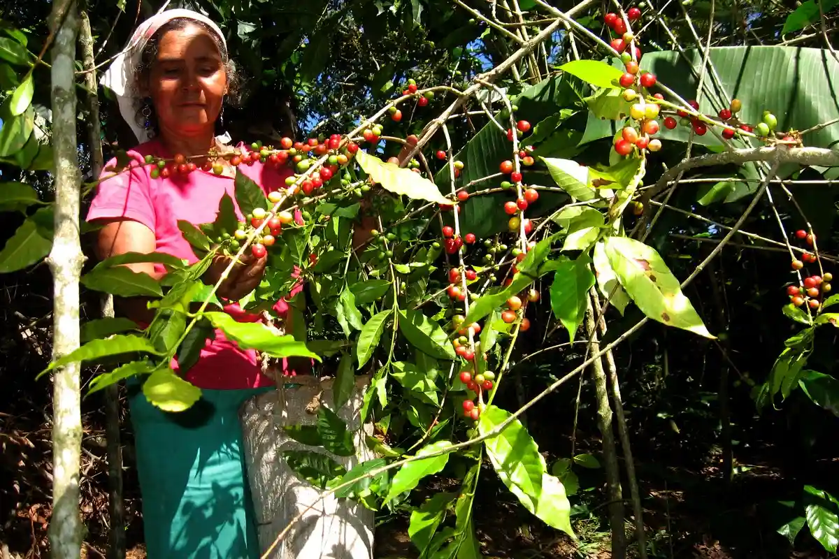 PNUD abre convocatoria de hasta US$50,000 para proyectos comunitarios en RD