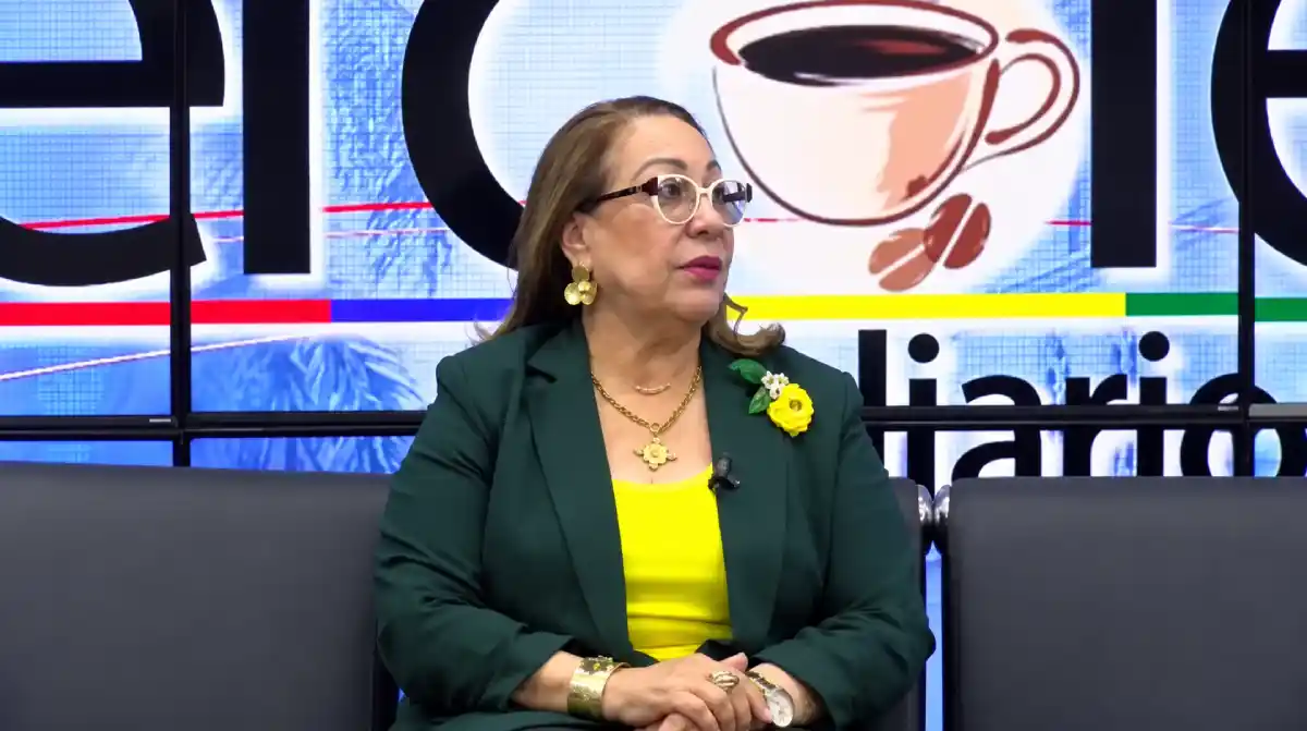 Rosa Santos dice que no recibe informes sobre las causas de incendios en Santiago Rosa Santos dice que no recibe informes sobre las causas de incendios en Santiago